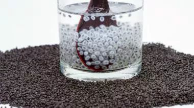 garnishing-instructions-image